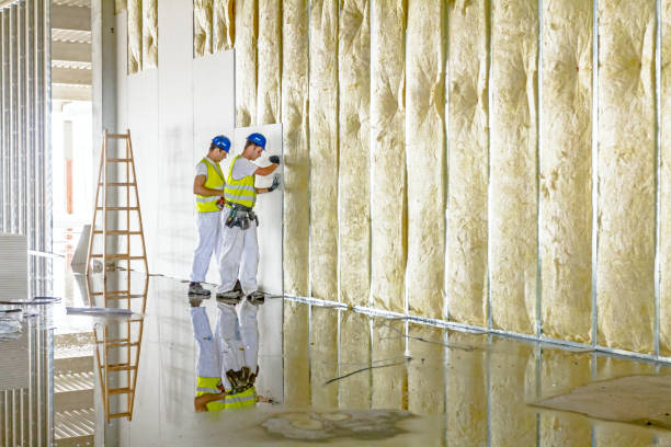 Types of Insulation We Offer in Alamo, TX